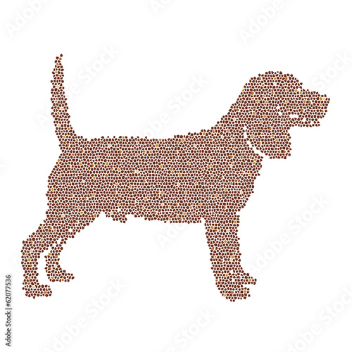 Vector image of an dog labrador design photo