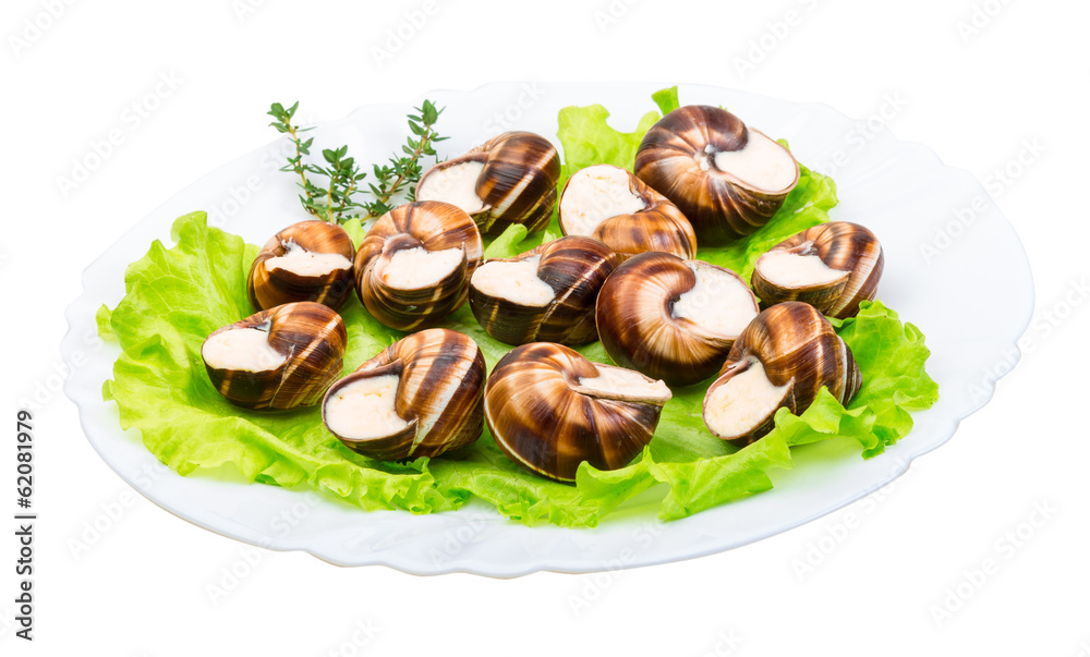 Escargot Escargot