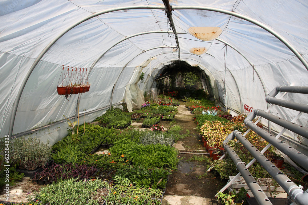 Poly tunnel - greenhouse