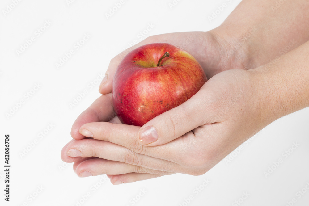 apple on the white background