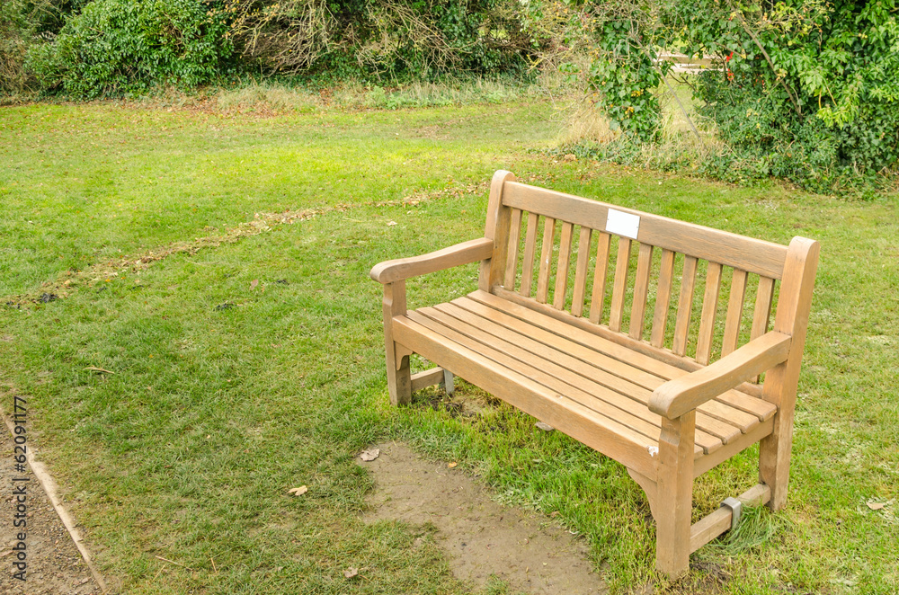 Wooden Bench in a Public Park