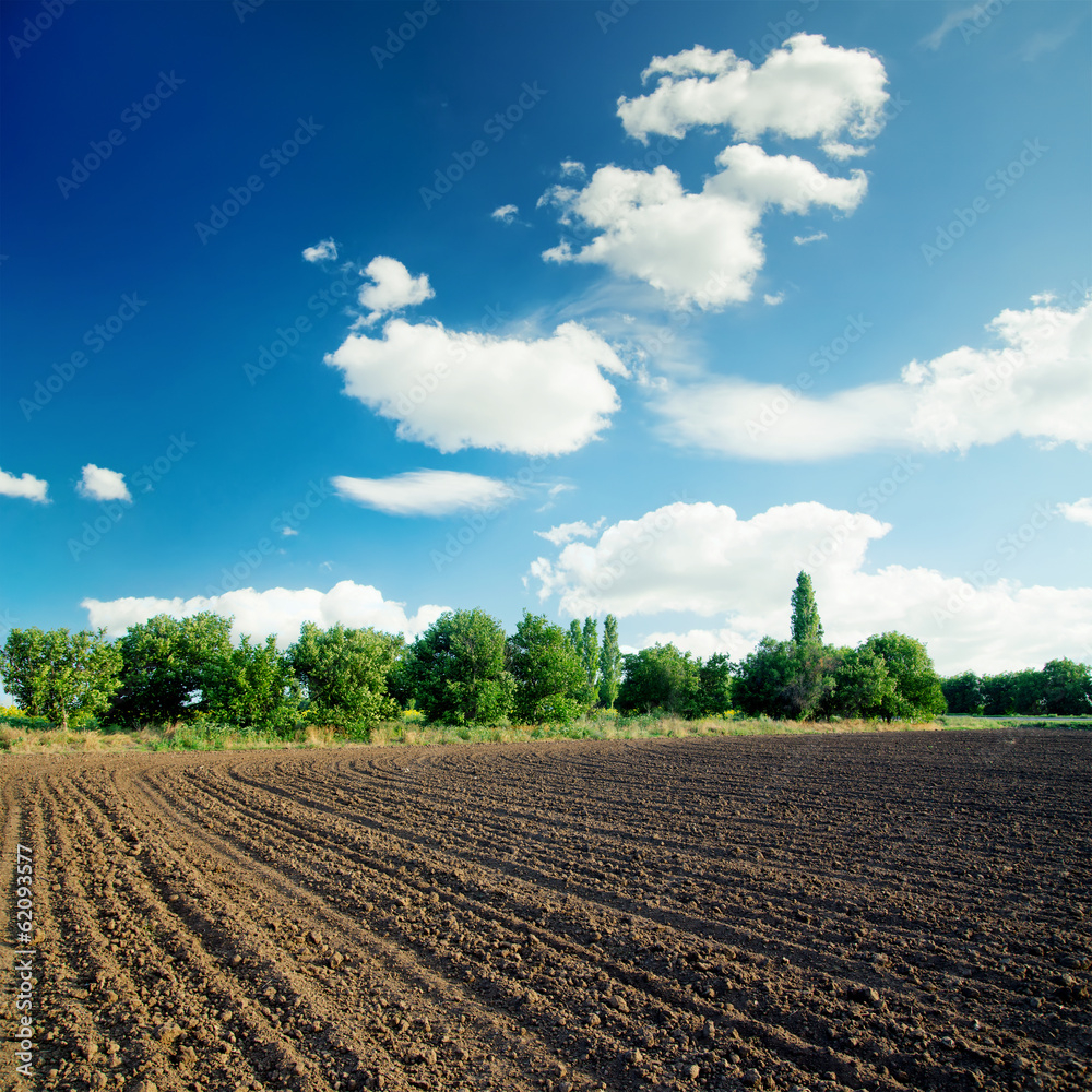 black agriculture field and blue sky with clouds