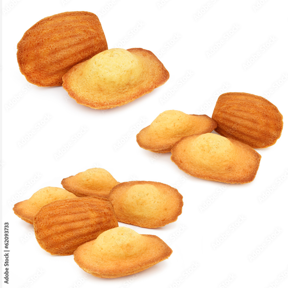 Madeleine - French Madeleine Madeleine - French Madeleine