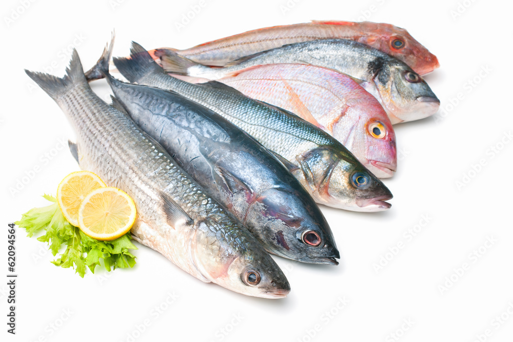 seafood isolated on white background