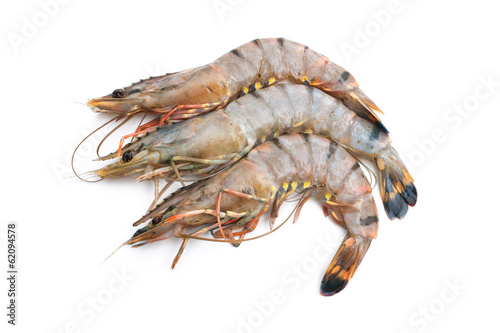 tiger shrimps © Alexander Raths