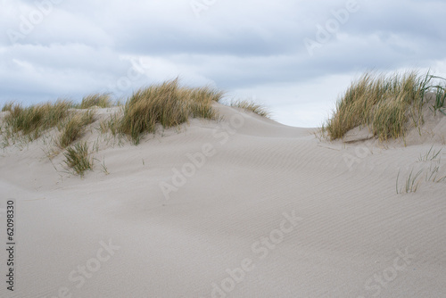 Sand dunes with beachgrass