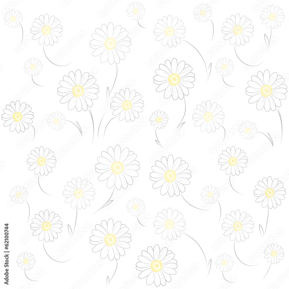Obraz premium Daisy White Background
