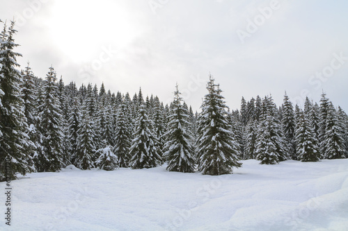 Snowy landscape in the mountains