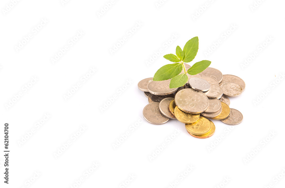 Concept image of financial growth Concept image of financial growth