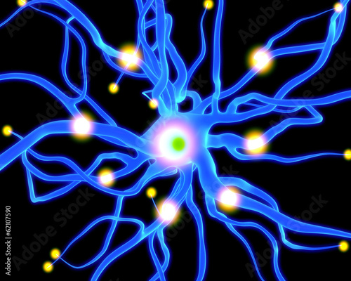 active nerve cell or neurons