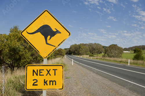 Look out for kangaroos