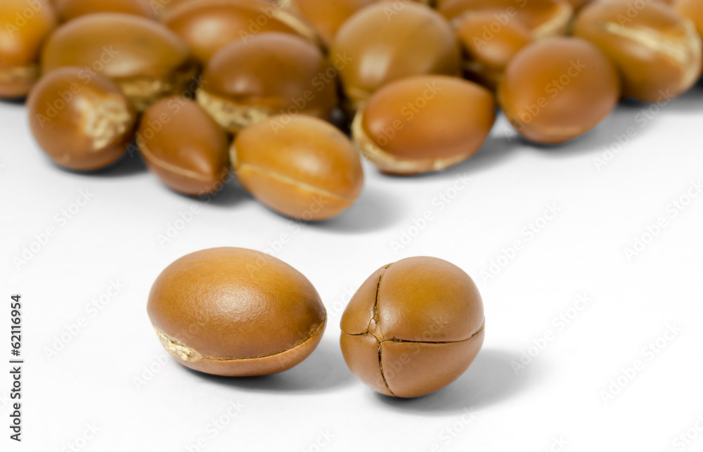 noix d'argan noix d'argan