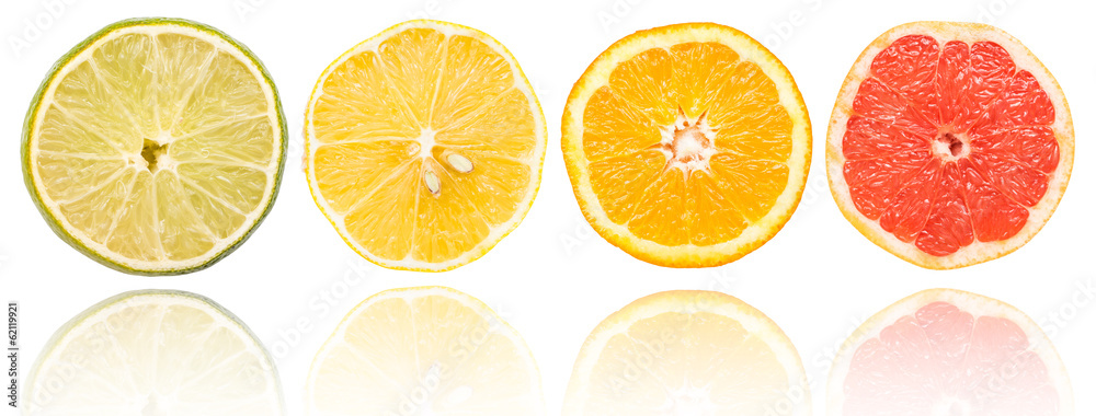Citrus Fruits Slices Set On White With Reflection
