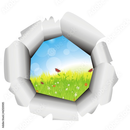 Naturhintergrund mit Himmel und Gras