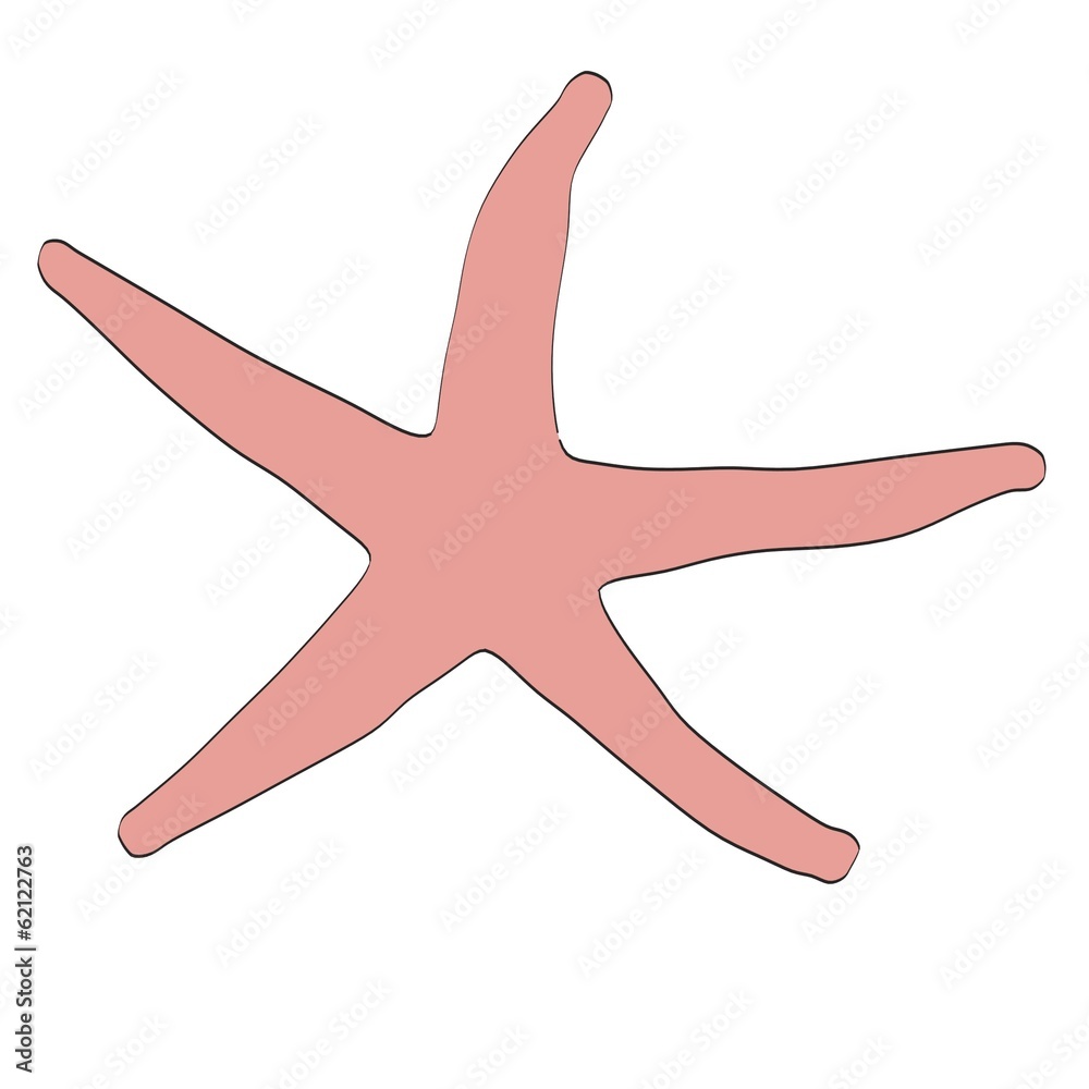 cartoon image of sea star cartoon image of sea star