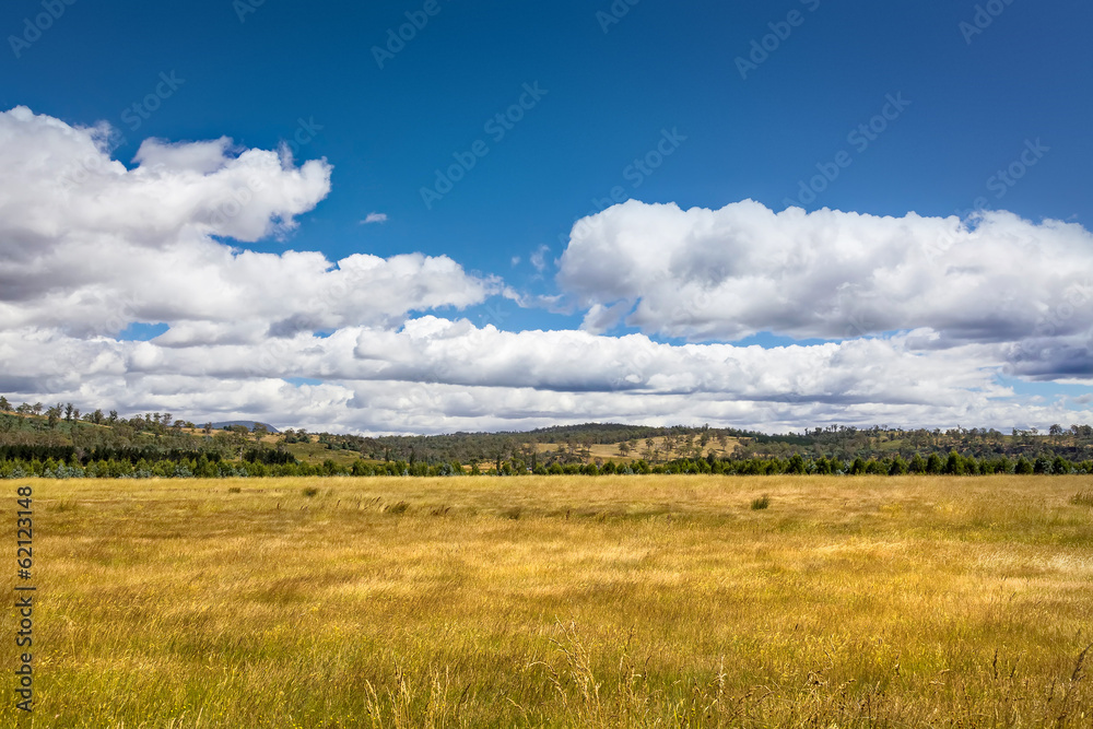 Tasmania Landscape