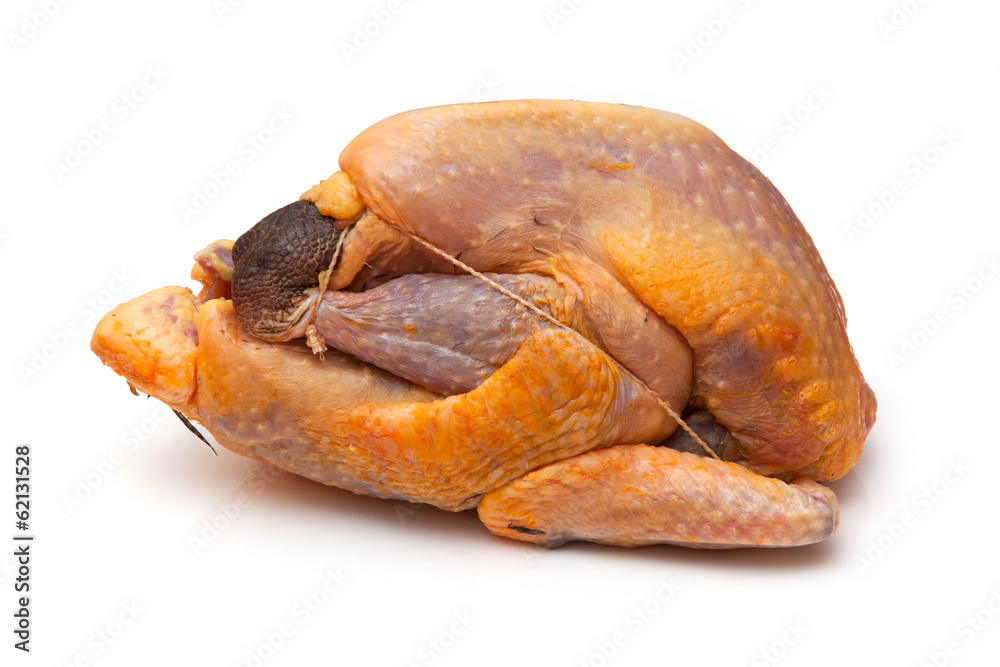 Guinea fowl on a white studio background. Guinea fowl on a white studio background.