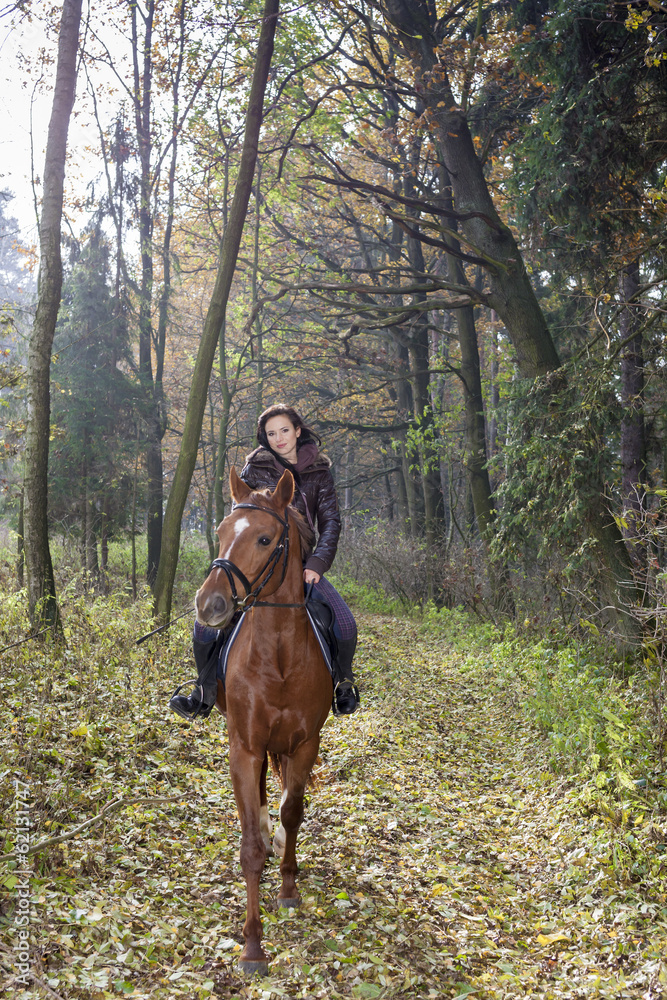 equestrian on horseback in autumnal nature equestrian on horseback in autumnal nature