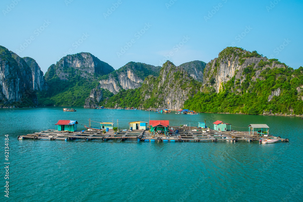 Obraz premium Floating fishing village in Halong Bay