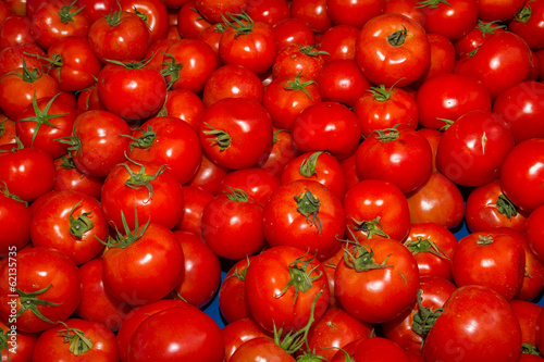 Fresh harvest of delicious tomatoes
