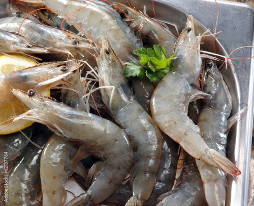Obraz na płótnie crevettes gambas cru