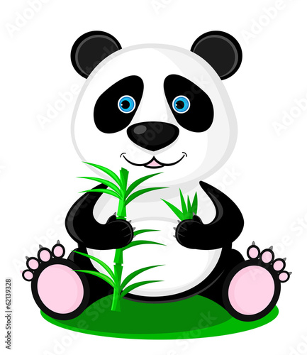 Fototapeta Naklejka Na Ścianę i Meble -  Cute panda bear