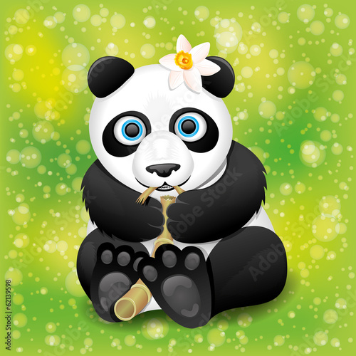 Fototapeta Naklejka Na Ścianę i Meble -  Panda.