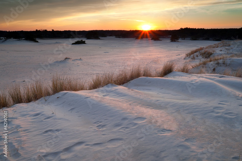 Fototapeta Naklejka Na Ścianę i Meble -  gold sunset over sand dunes