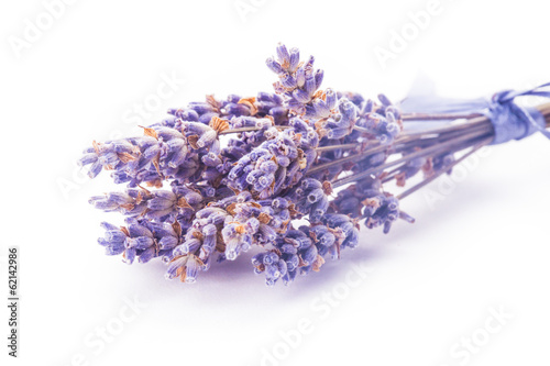 Dry lavender bunch