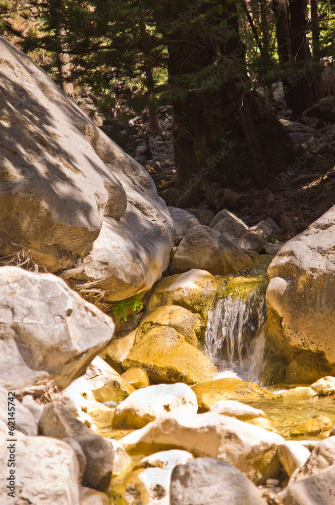 Fototapeta premium Mountain creek through Samaria gorge, island of Crete