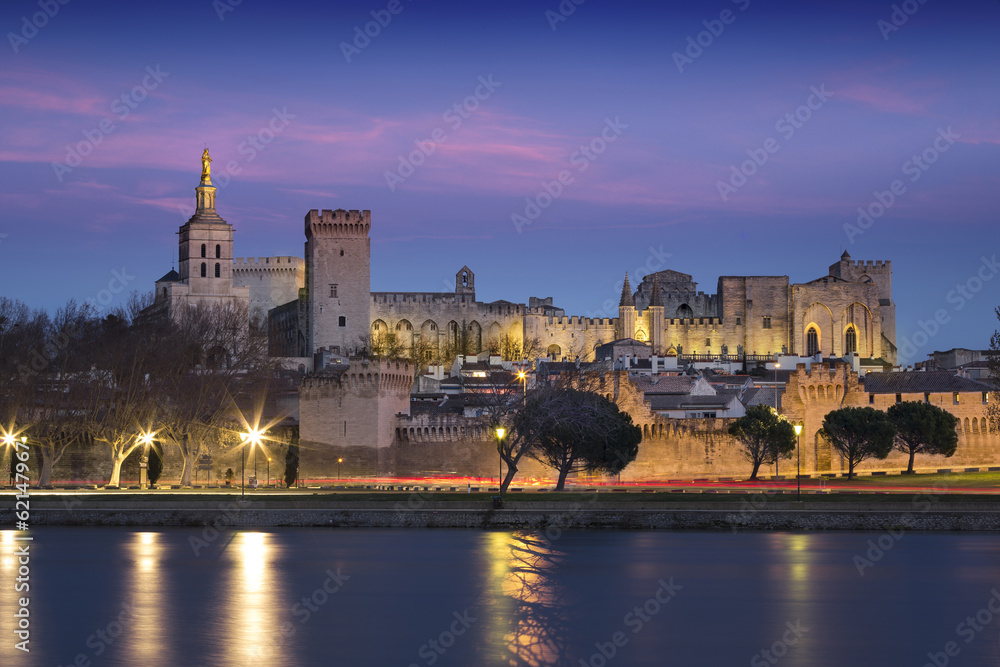 Ville d'Avignon depuis des berges du Rhône