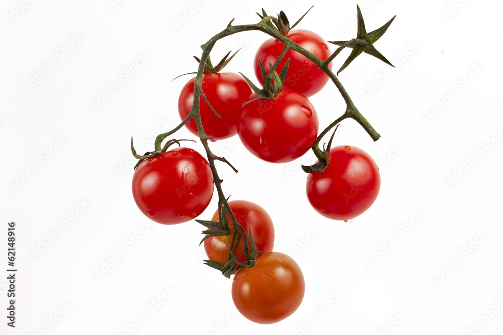 red tomatoes on a branch red tomatoes on a branch