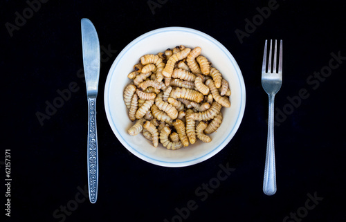 Cuadro en lienzo Huhu Grubs Dish