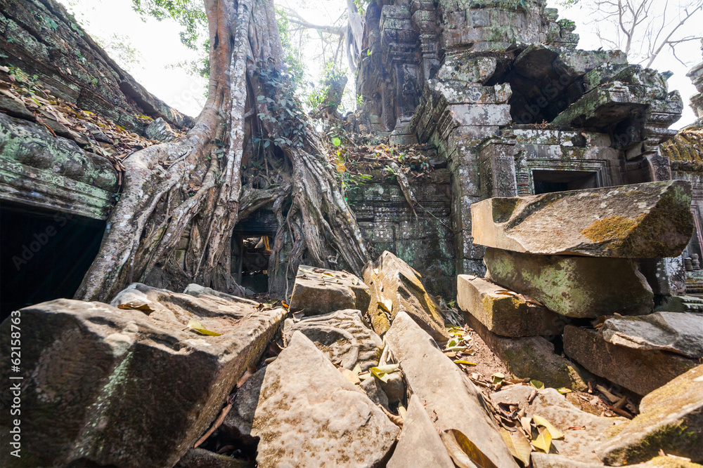 Ta Prohm temple at Angkor Wat, Siem Reap, Cambodia. Ta Prohm temple at Angkor Wat, Siem Reap, Cambodia.