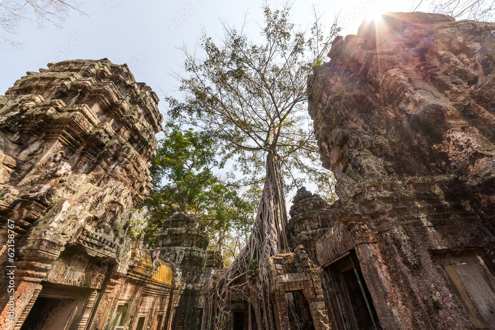 Ta Prohm temple at Angkor Wat, Siem Reap, Cambodia.