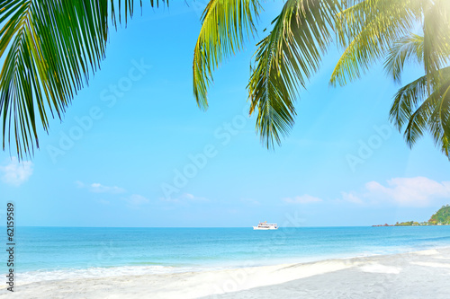 Fototapeta Naklejka Na Ścianę i Meble -  Beach with palm trees. Koh Chang, Thailand