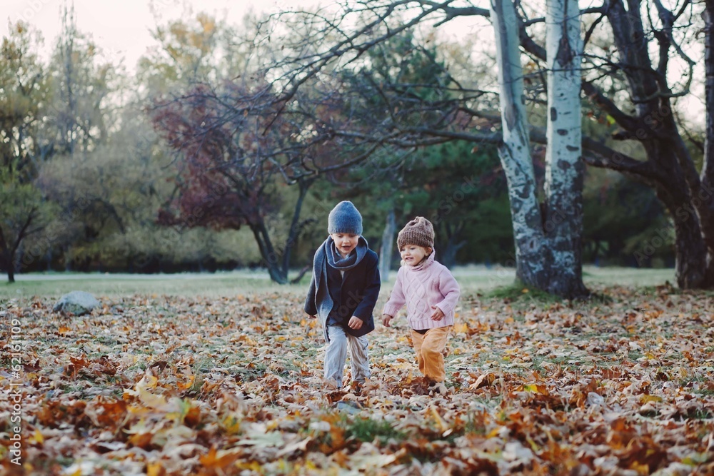 brother and sister playing in autumn park leaves brother and sister playing in autumn park leaves