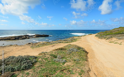 yellow sand and green bushes