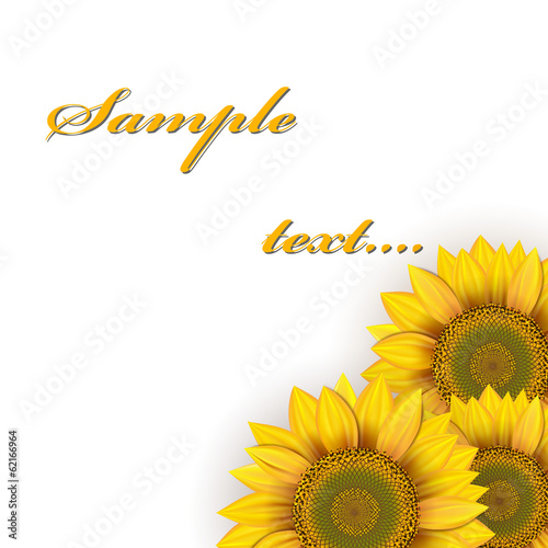 Sunflowers