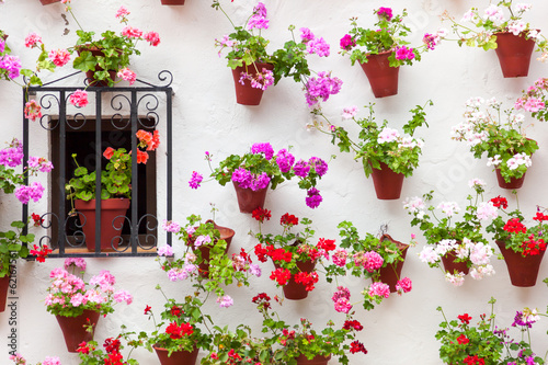 Fototapeta Naklejka Na Ścianę i Meble -  Beautiful Window and Wall Decorated Flowers - Old European Town,