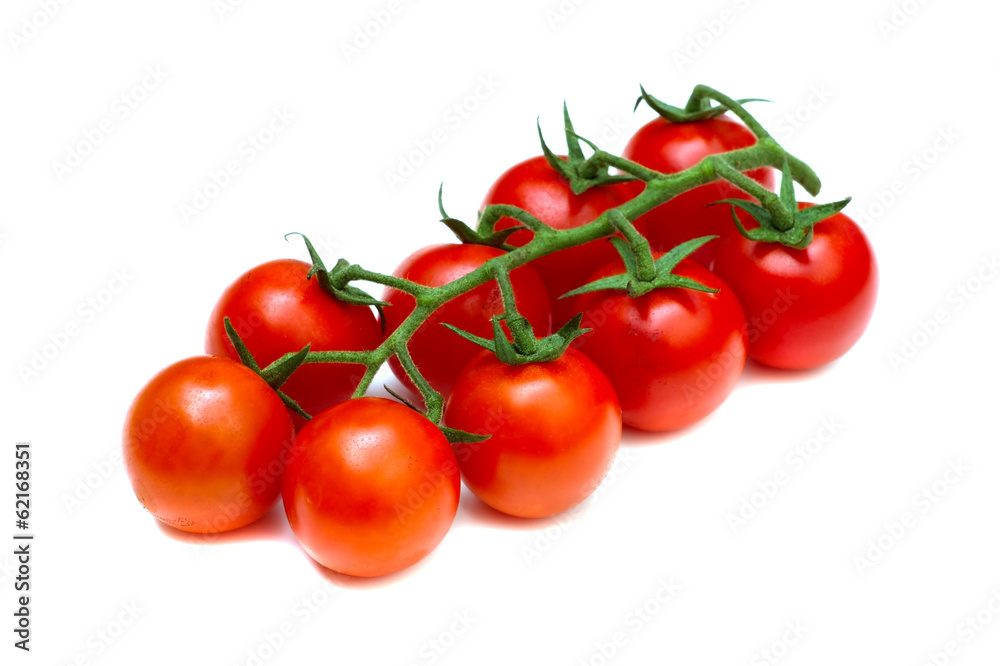 チェリートマト-Solanum lycopersicum チェリートマト-Solanum lycopersicum