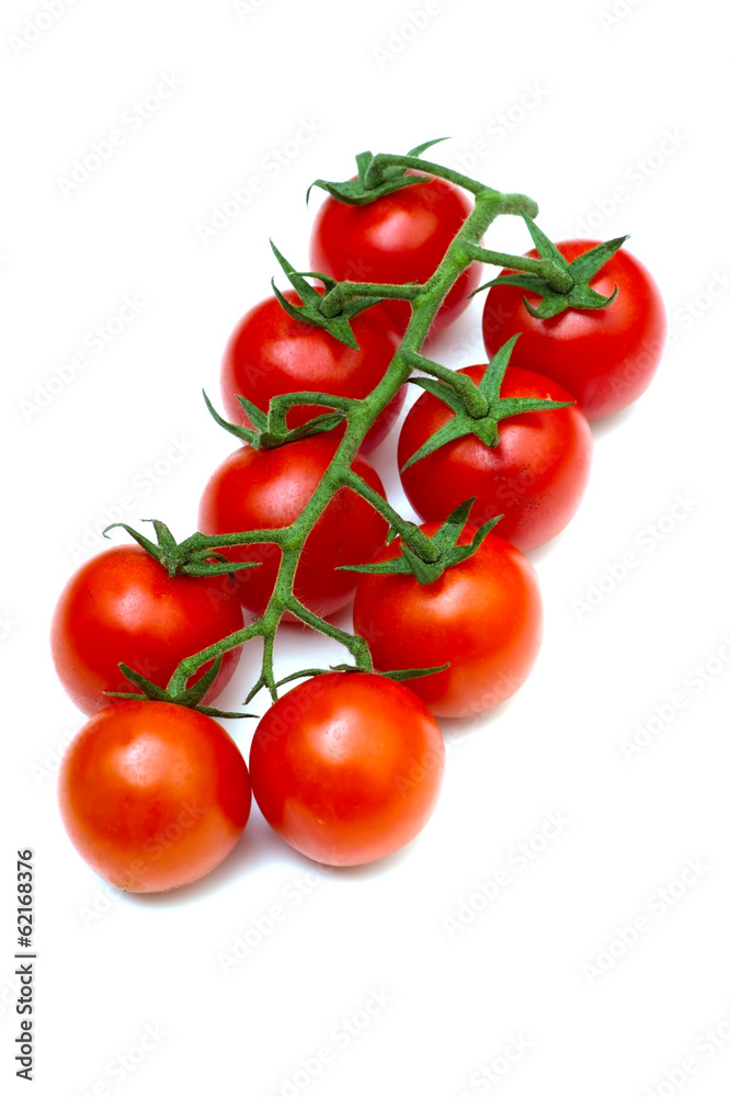 チェリートマト-Solanum lycopersicum チェリートマト-Solanum lycopersicum