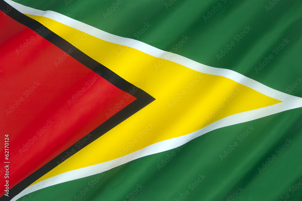 Flag of Guyana Flag of Guyana