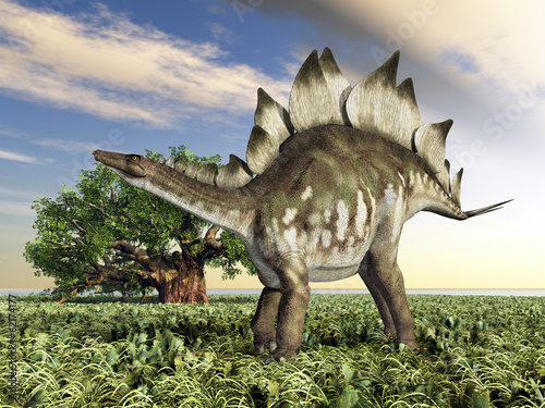 Dinosaurier Stegosaurus © Michael Rosskothen