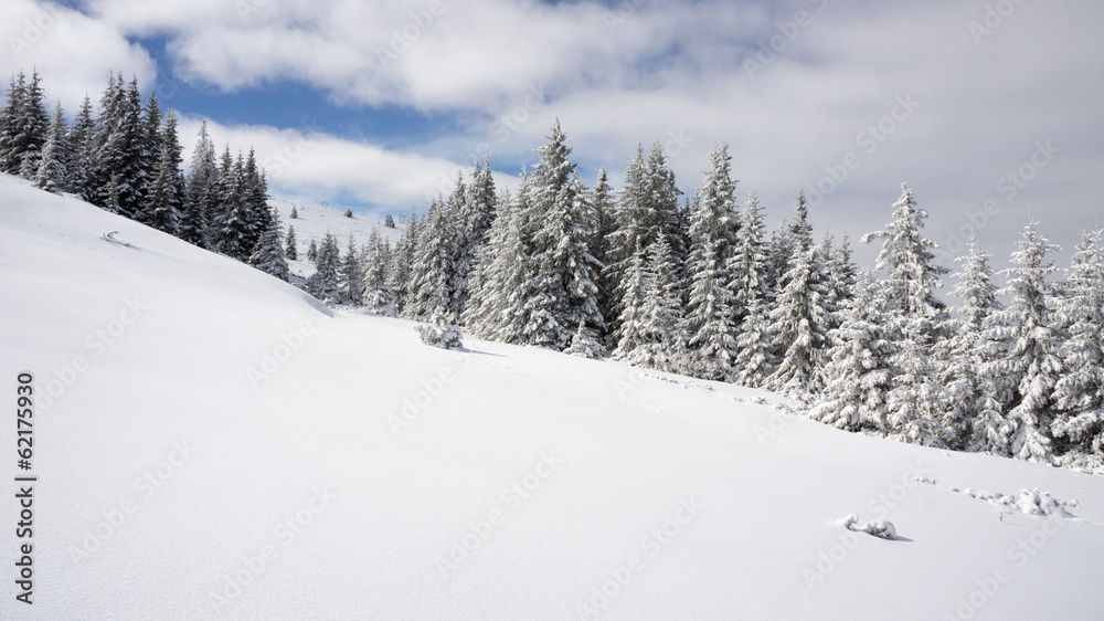 Snow mountain