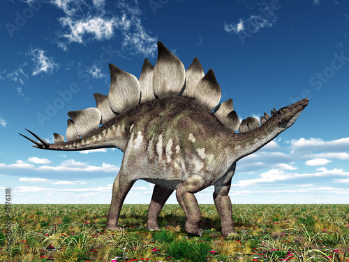 Dinosaur Stegosaurus photo