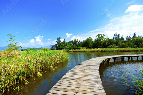 Fototapeta Naklejka Na Ścianę i Meble -  Wetland wooden path in summer