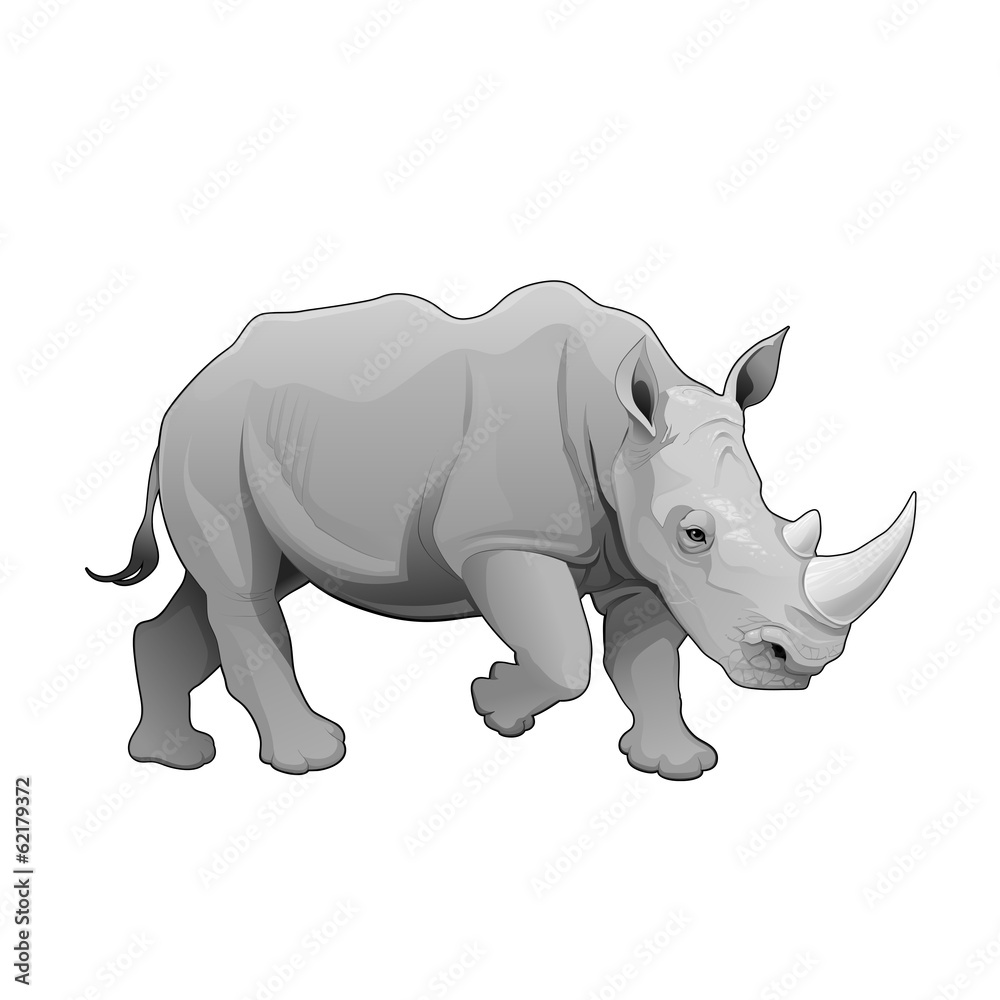 Obraz premium Rhinoceros.