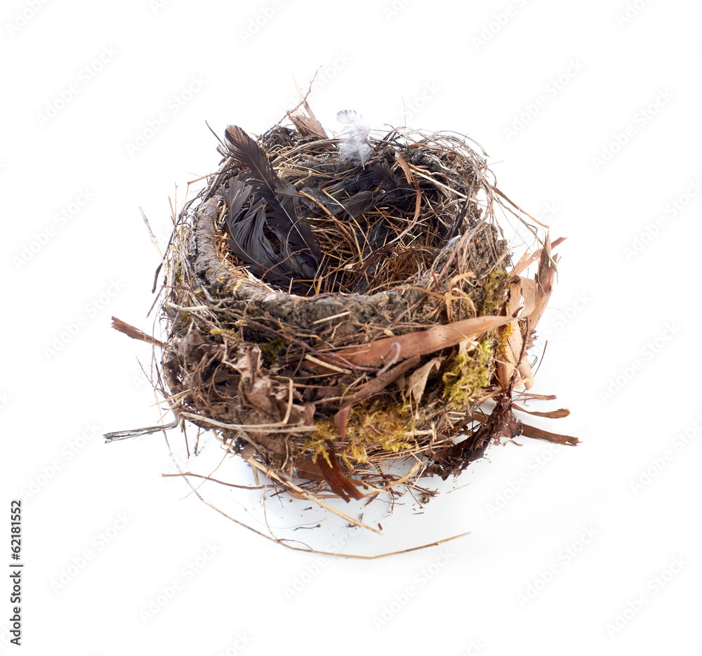 Obraz premium Empty Birdnest