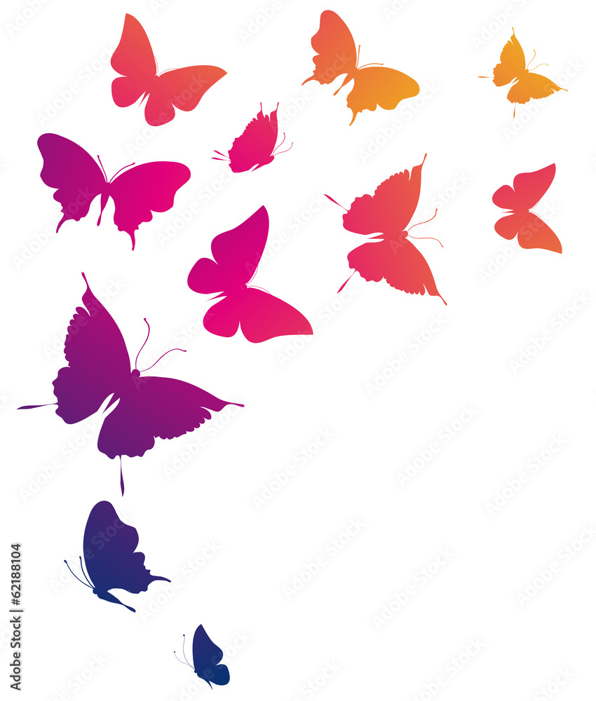 butterflies design butterflies design